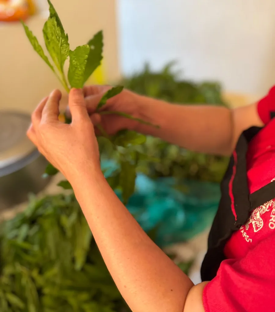 Fotografía real de preparación de hierbas frescas en el negocio